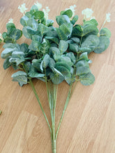 Eucalyptus bunch