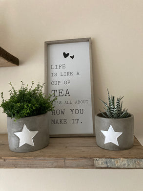 Concrete Star Pot - available in 2 sizes