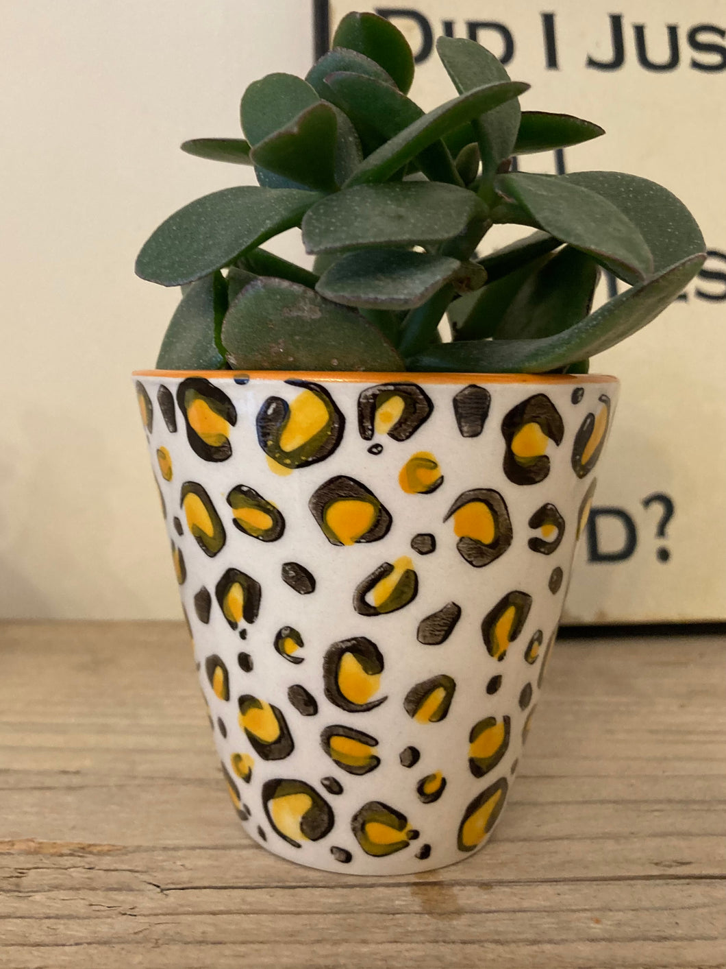 Mini Leopard Planter