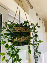 Black Stripe Seagrass Hanging Planter