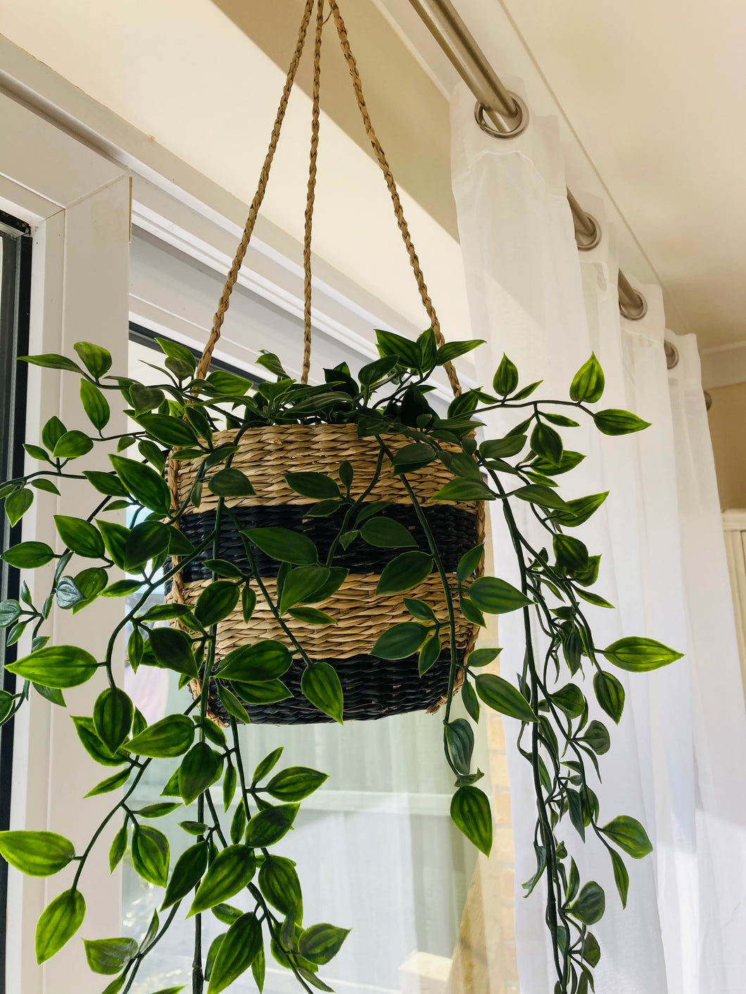Black Stripe Seagrass Hanging Planter