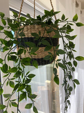 Black Stripe Seagrass Hanging Planter