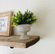 Faux potted sage
