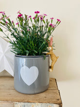 Pot hanging rabbit