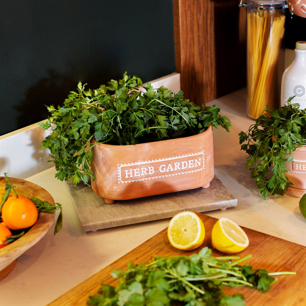 Terracotta ‘Herb Garden’ Trough