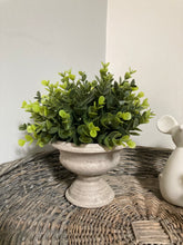Faux potted sage