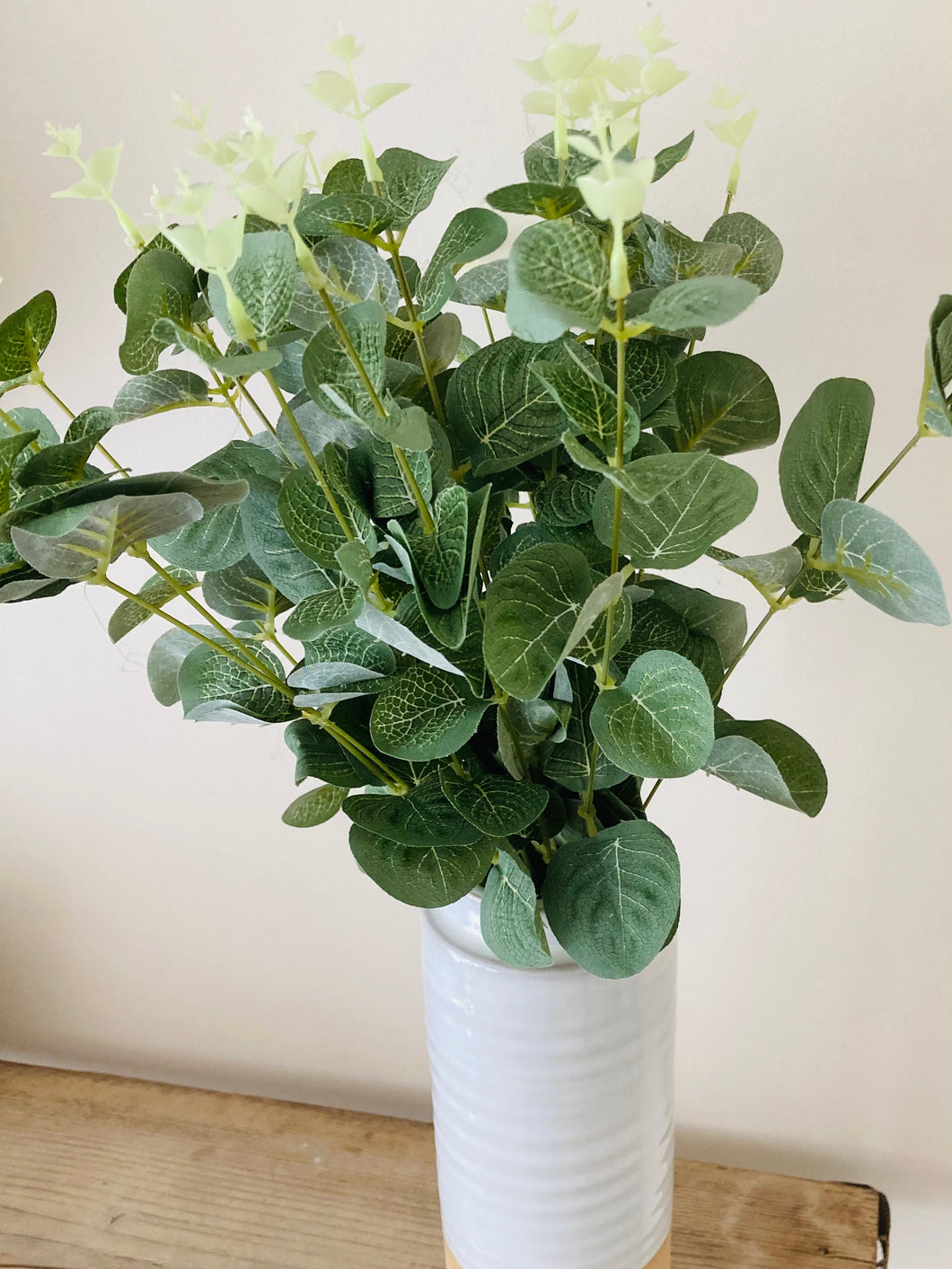 Eucalyptus bunch