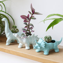 Dinosaur planter - Triceratops