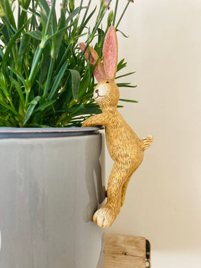 Pot hanging rabbit