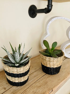 Mini Black/Natural Planters- set of 2