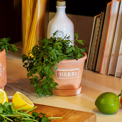 Terracotta ‘Herbs’ Planter with Saucer